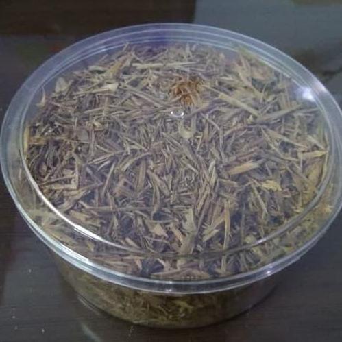 chip kayu gaharu kalimantan 100gram