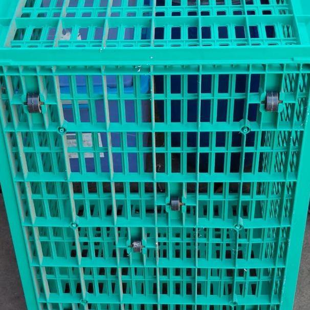 Green Leaf Keranjang Industri Besar Roda 2225 Keranjang Serbaguna