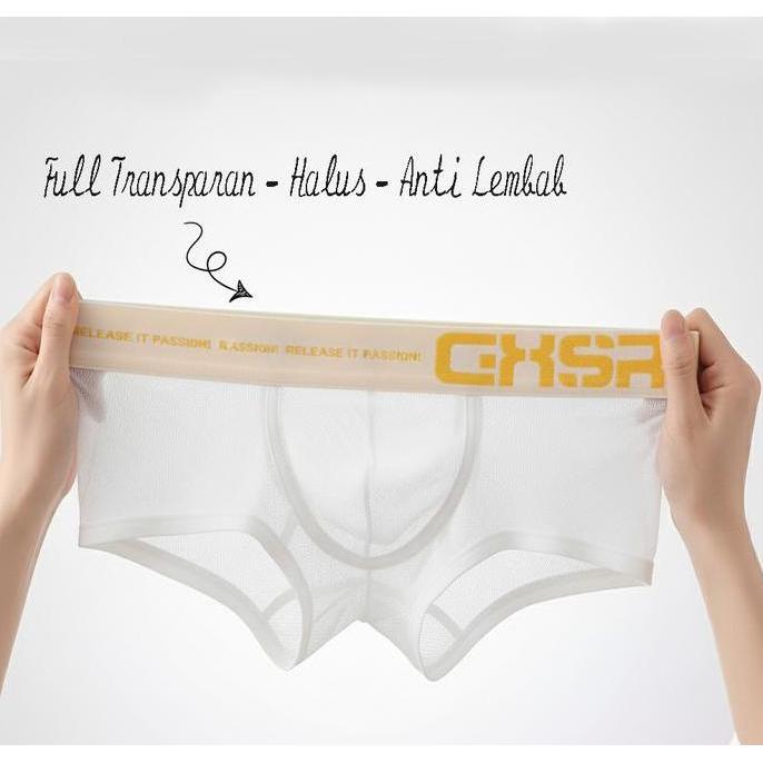 ORLVS Boxer Full Transparan GXSR