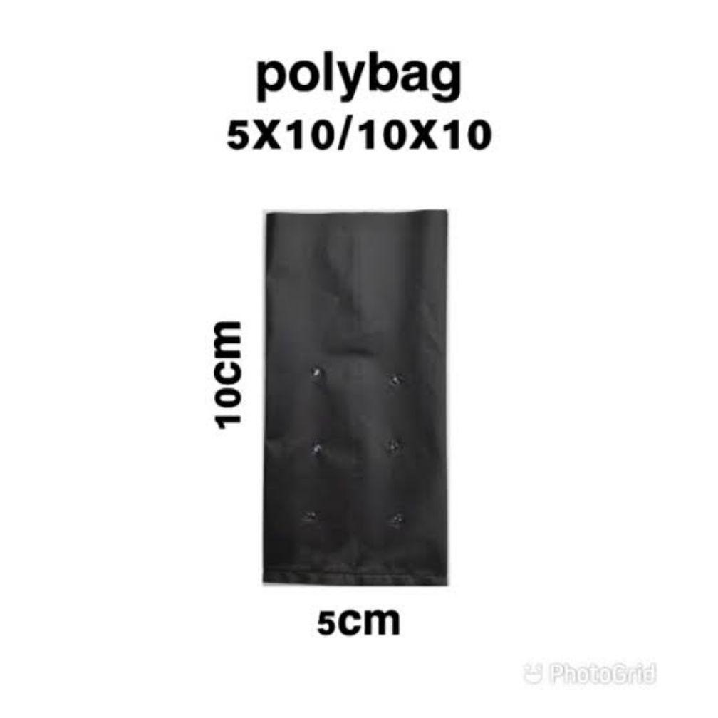 Bisa Cod Polybag Tanaman Khusus Semai Isi 800 Pcs / Polybag Tanaman Kecil Untuk Semai Bibit ><