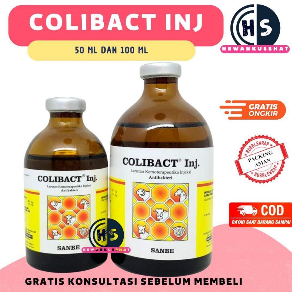 COLIBACT 50 ML DAN COLIBACT 100 ML - Obat Diare dan Pernafasan Sapi Kambing