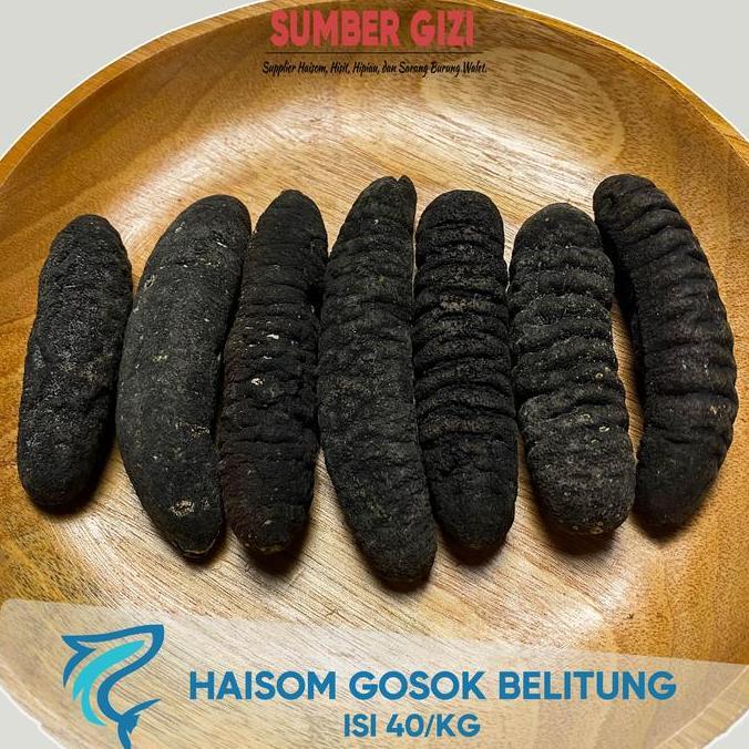 Haisom Gosok Isi 40 per KG | Teripang Kering Premium Asli Bangka Belitung Siap Masak / Tripang Hoiso