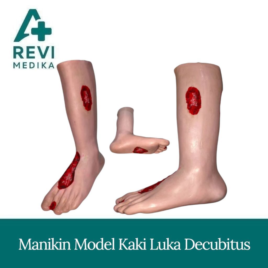 Phantom Manikin Model Kaki Luka Decubitus/ Manikin Kaki Borok Silicon