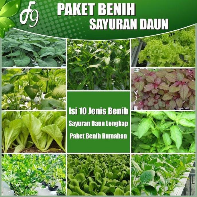 Paket Benih Bibit Sayuran Daun Lengkap 10 Jenis Benih Sayuran