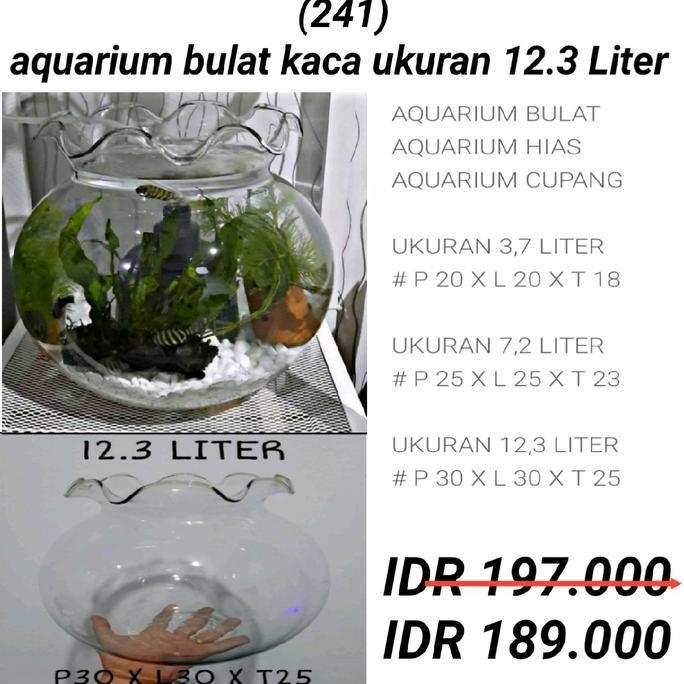 Wasihan500 - aquarium bulat kaca ukuran 12,3 liter
