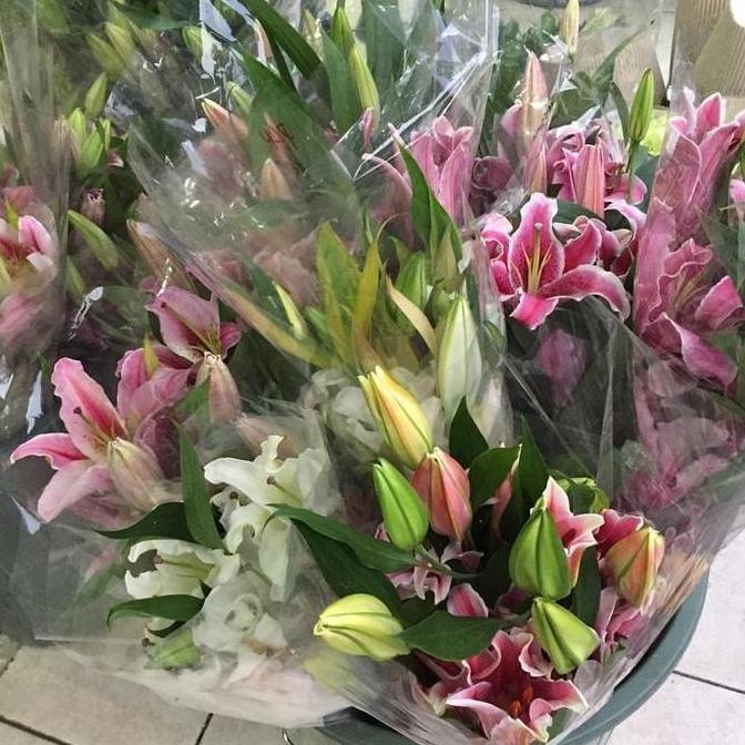 Bunga Lili Putih White Lily Fresh Segar Asli 5 tangkai TEG