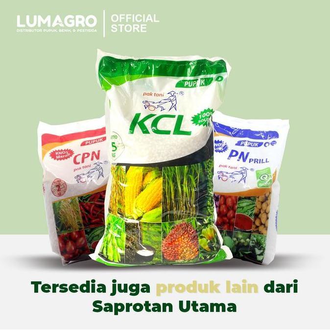 Grdwix- Benih Padi Saprotan Utama Inpari 32 5Kg Pak Tani Bibit Pari Jumbo Unggul 5 Kilogram