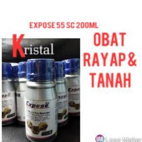 Ready  EXPOSE obat rayap kayu dan tanah