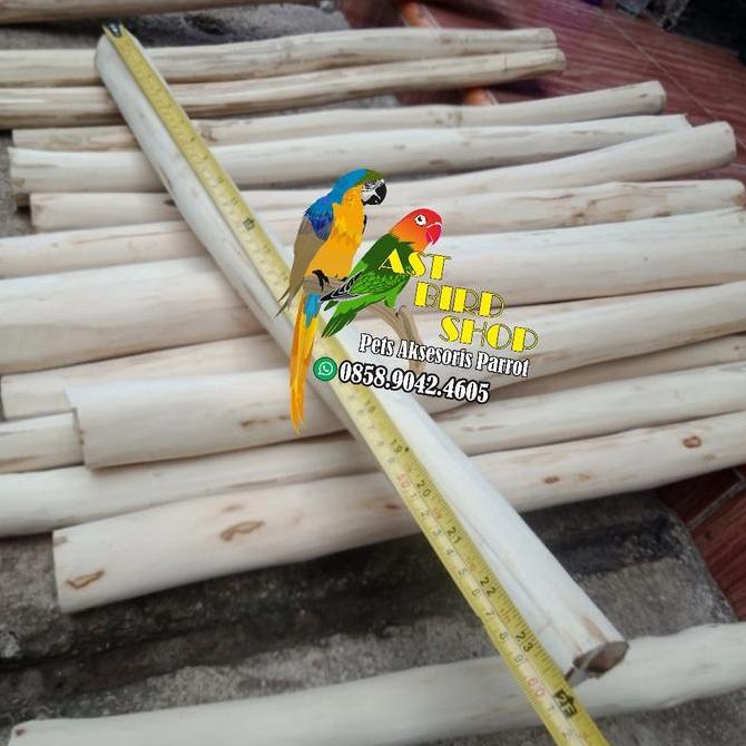 Bridwoi- Tangkringan Kayu Kopi Parrot Panjang 60 Cm