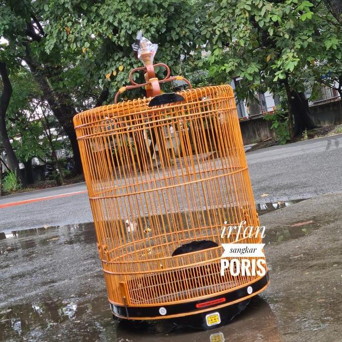 Bridwoi- Sangkar Murai Oriq No3