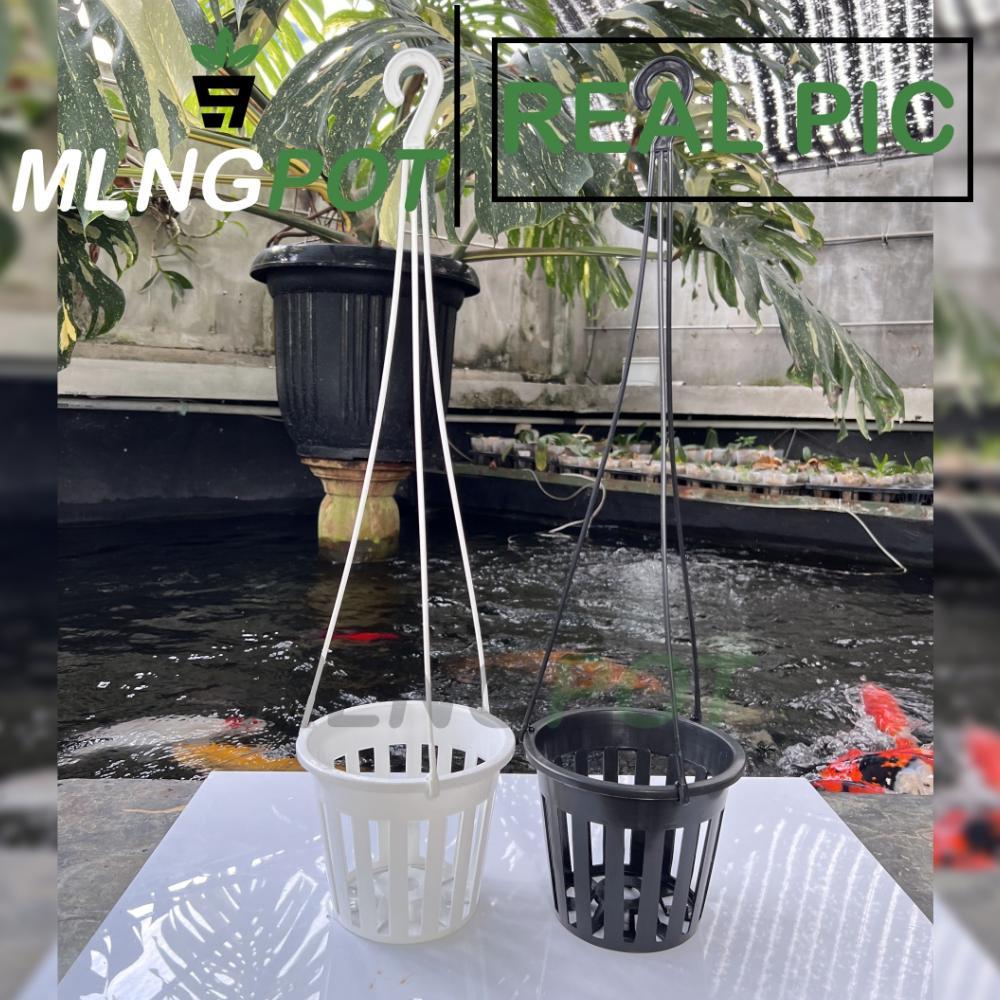 Bisa Cod Pot Gantung Anggrek Gbl Vanda 20 Free Gantungan Pot Anggrek Jumbo ><