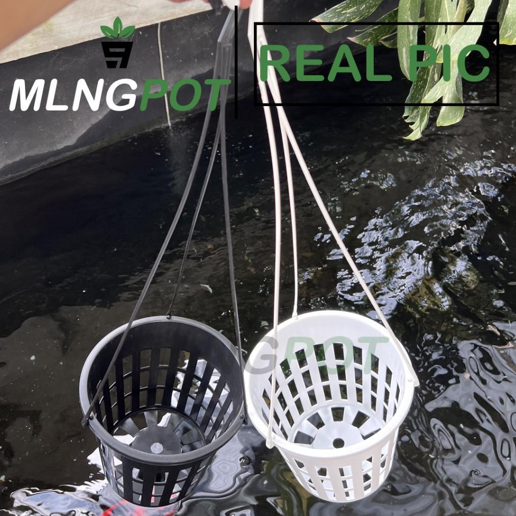 Bisa Cod Pot Gantung Anggrek Gbl Vanda 20 Free Gantungan Pot Anggrek Jumbo ><