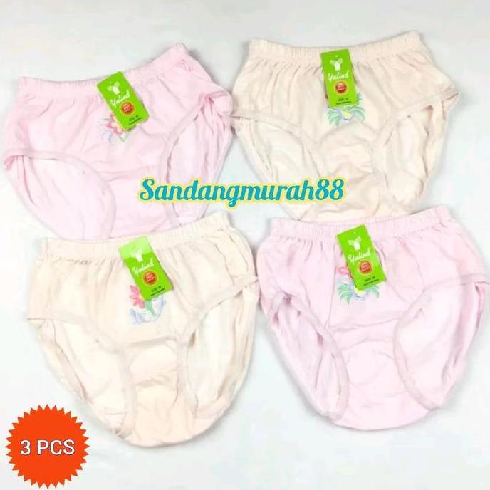 AV41 >> [ 3PCS ] CD Bordir YUTIND | Celana Dalam Bordir YUTIND