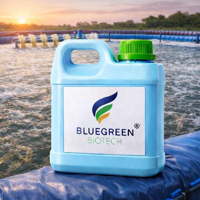 Probiotik Udang Vaname Vanamei Bioflok BlueGreen Biotech