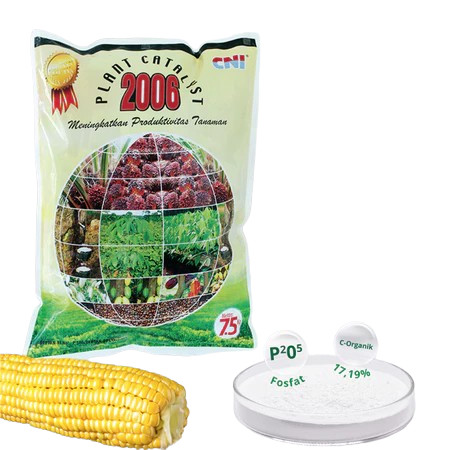 CNI Plant Catalyst 2006 (Berat 7,5KG )