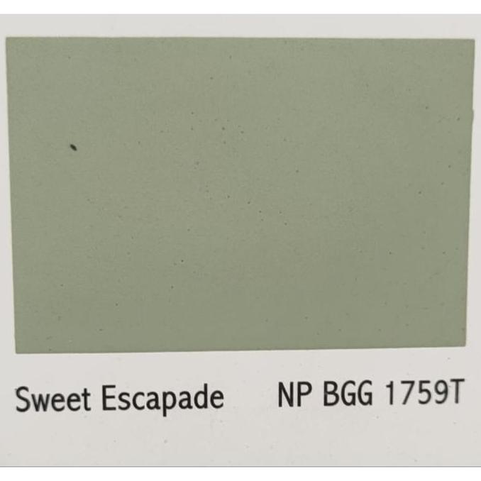 Cat Tembok Avitex Wizz 5 Kg