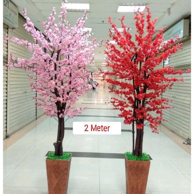Terlaris Pohon Meihua Sakura Imlek Angpao Besar Tinggi 2 M Meter
