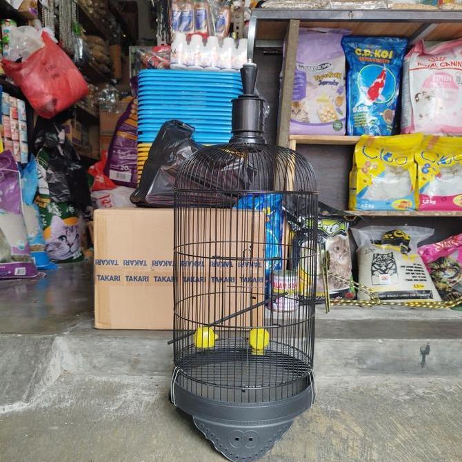 SANGKAR BESI DM27 SANGKAR LOVEBIRD PLECI PRENJAK SANGKAR BESI MURAH