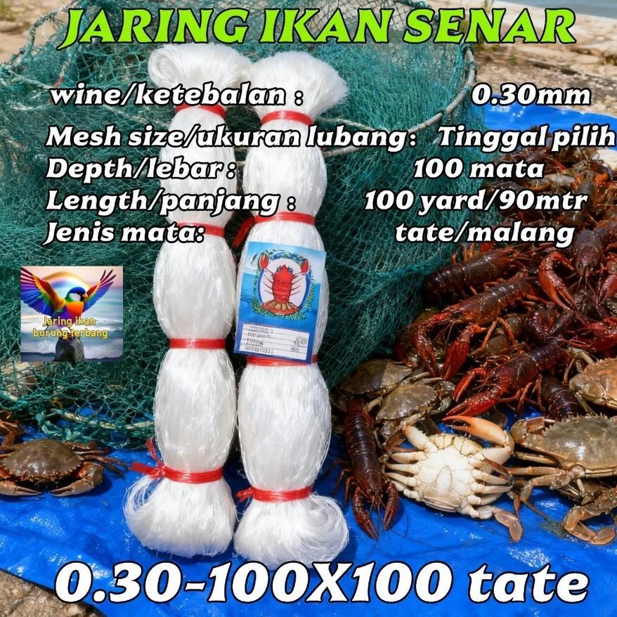 TERBARU 2026 Jaring Ikan Senar Ukuran 0.30x100x100 Tate/Melintang