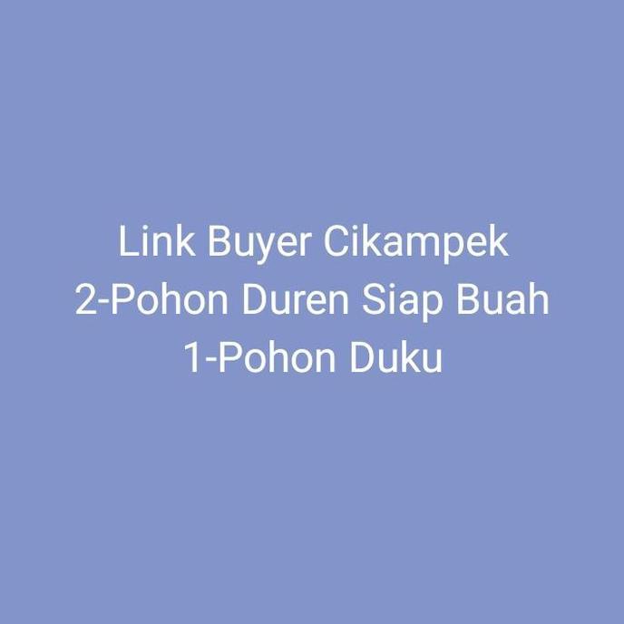 Terlaris Pohon Duren Bawor Siap Buah