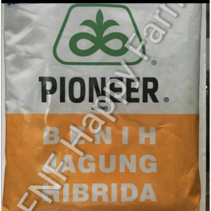Benih Jagung Pioneer P32 Singa 1 kg