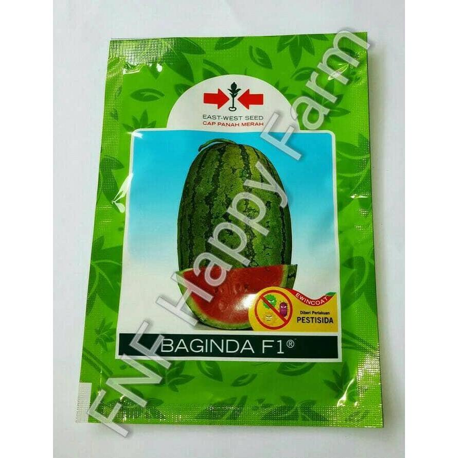 TERBARU - Benih Semangka Baginda | 20gram