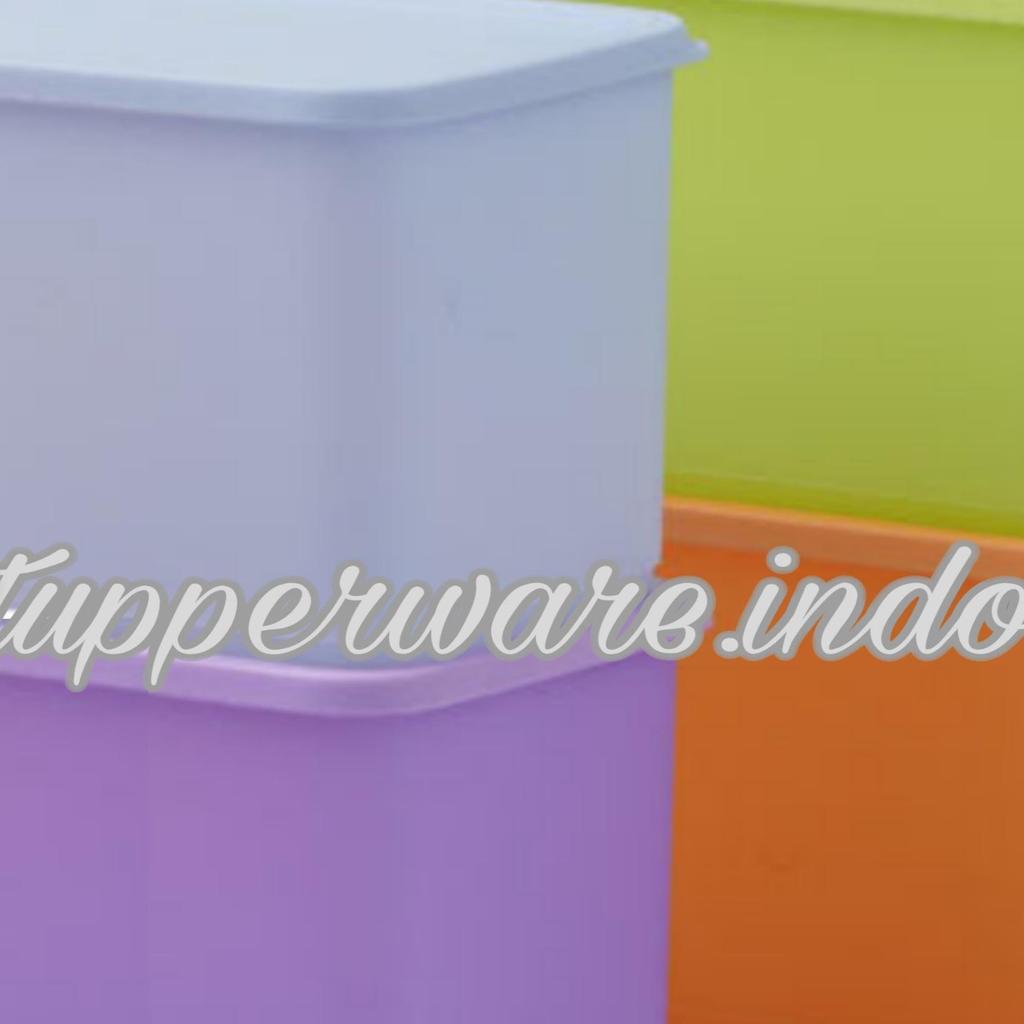 Tupperware Colorful Funtastic Four 1Pc Ecer Satuan Toples Plastik Warna Wadah Cemilan Tempat Kue Sna