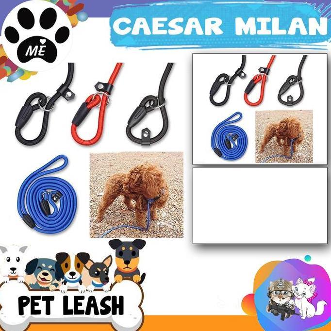 Tali Tuntun Anjing Cesar Milan " LARGE " Tali Tuntun Pelatih