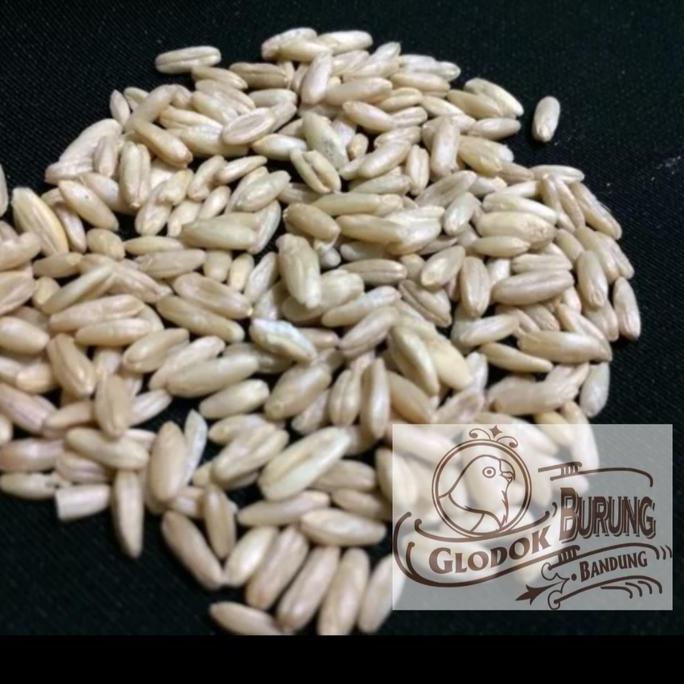 Kicaudor- Haver Seed Kupas 250 Gr Makanan Burung Lovebird Canary Kenari Dll