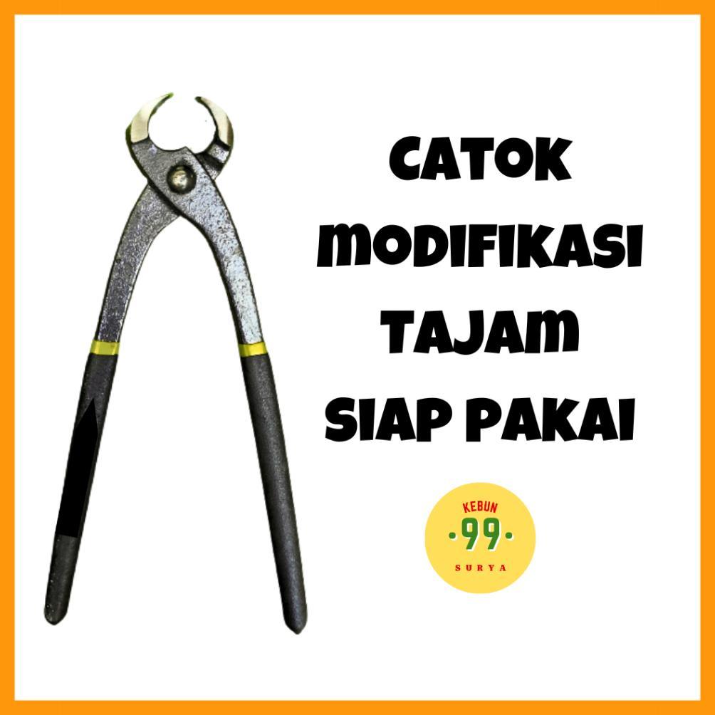 Bisa Cod Paket Alat Bonsai Satu Set Catok Tajam Gunting Pruning Salep Kambium Dan Kawat Satu Paket >