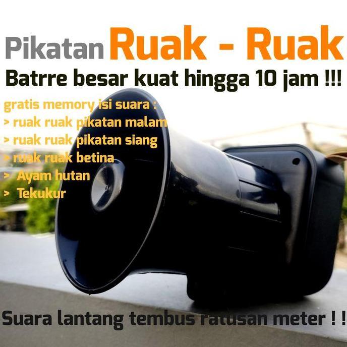 Kicaudor- Speaker Pikatan Ruak Ruak Ayam Hutan Burung Pemburu