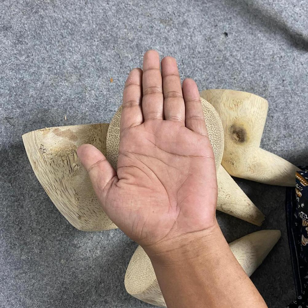 Ulekan Akar Bambu Besar Food Grade Alami 100% Diskon