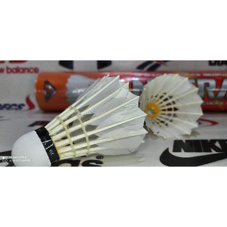 BEST SELLER KOK BULUTANGKIS BEKAS TURNAMEN