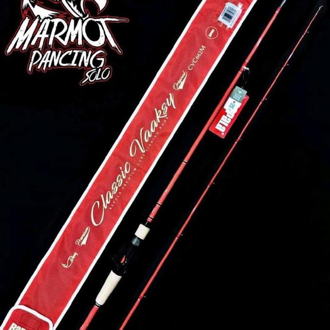 JORAN BC & SPINNING RAPALA CLASSIC VAAKSY FULL FUJI