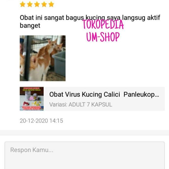 Lansungkirim- Obat Antivirus Kucing Calici Distaper Virus Panleukopenia