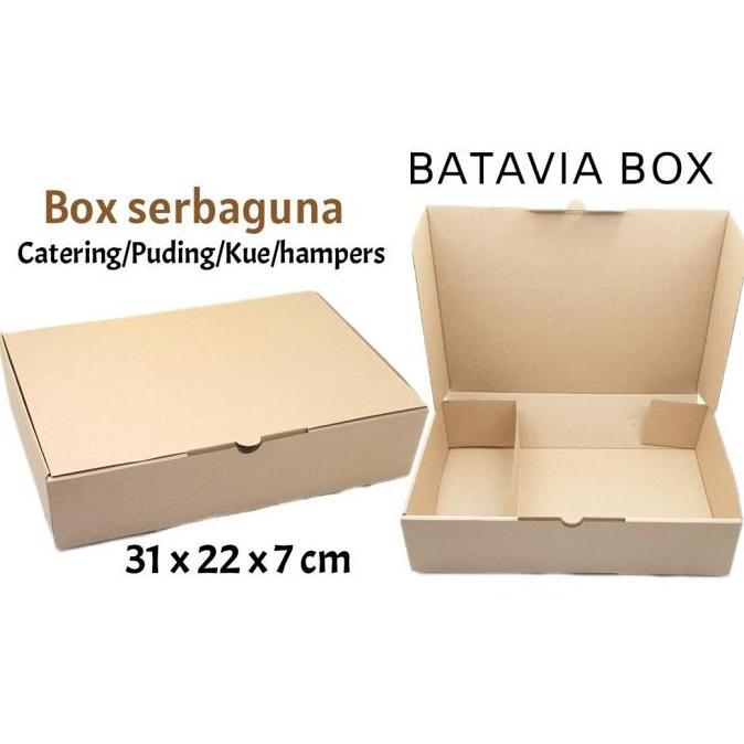Box catering serbaguna 31x22x7 sekat dalam