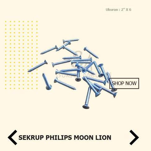 Murah 6 X 2 In Sekrup Philips Moon Lion Fh / Sekrup Baut Tapping