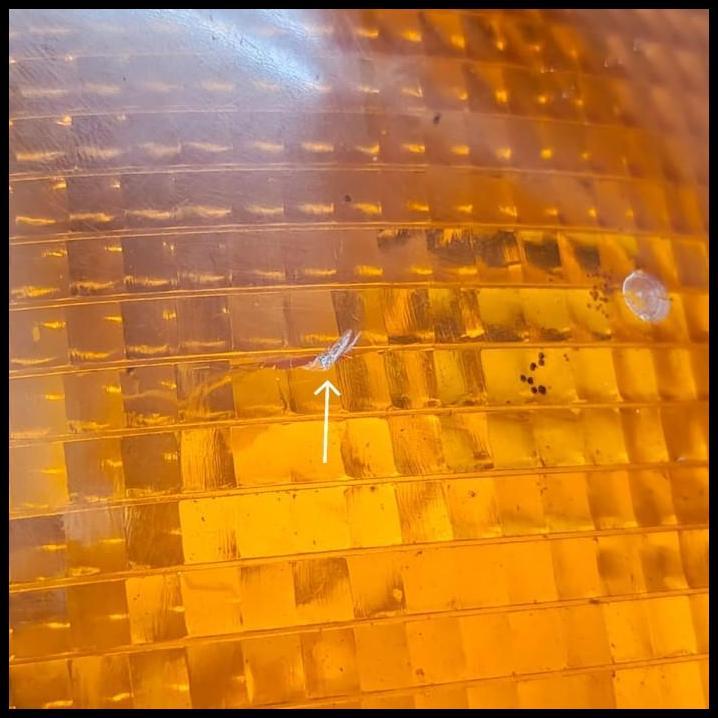 TERLARIS LAMPU SEIN / LAMPU SEN CORNER MOBIL BMW E38 SERI 7 