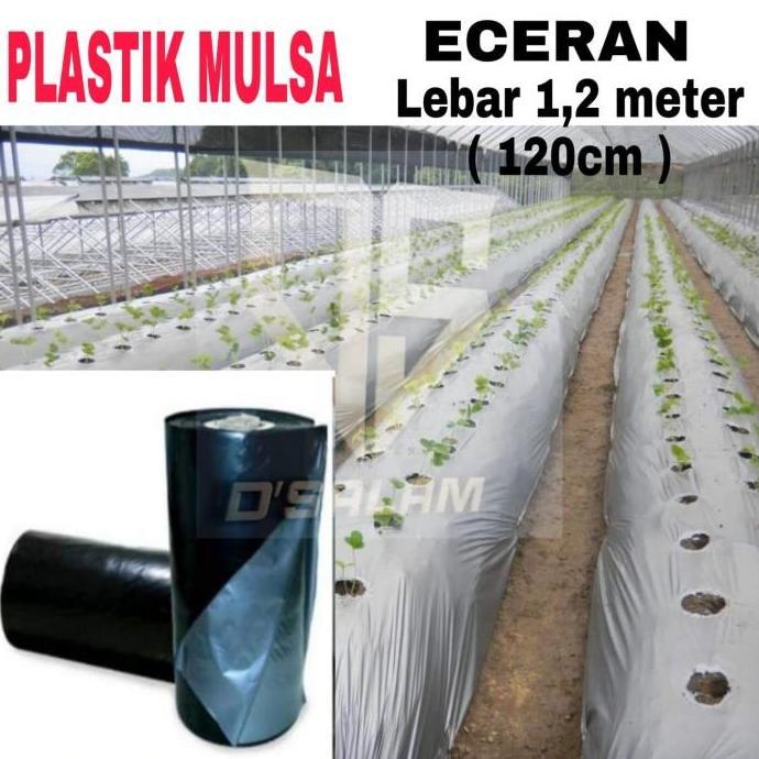 PLASTIK MULSA ( ECERAN ) HITAM PERAK
