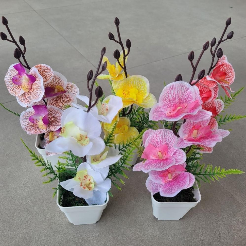 DISKON Bunga Plastik ANGGREK BULAN Mini Artificial
