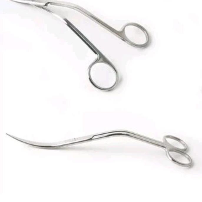 gunting tanaman stainless steel