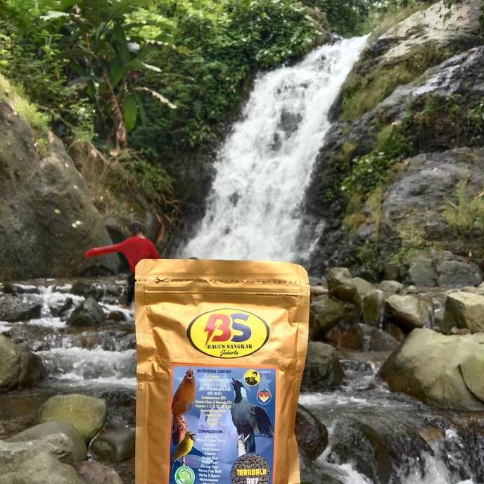 Voer lotus Mandala kemasan gold