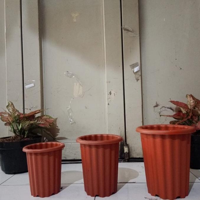 Promo Cod Pot Tinggi Model Yogap, Pot Swiss Warna, Pot Bunga Tinggi, Aglonema ...