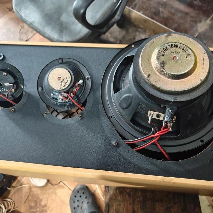 speaker subwoofer big band polytron SPK 22