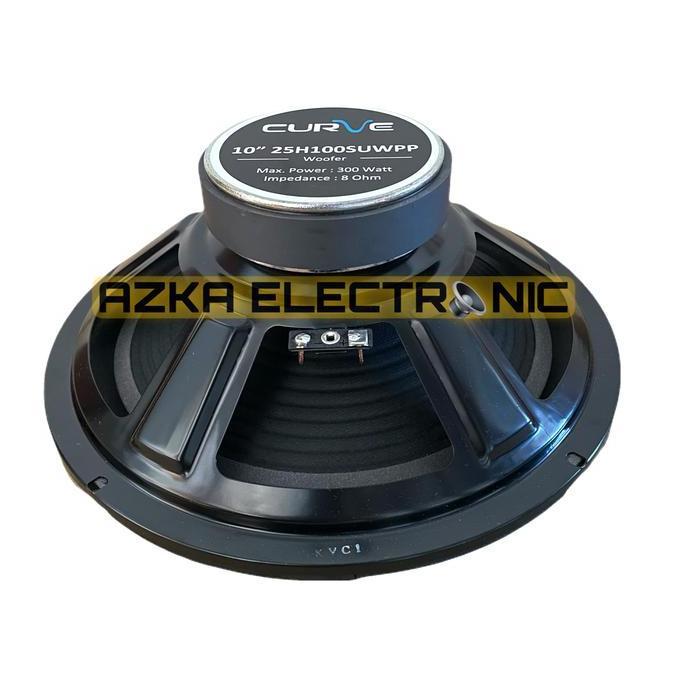 Speaker Curve 10 Inch Woofer 300W