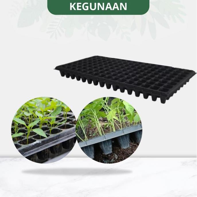 Tray Semai - Tempat Semai Benih Tanaman