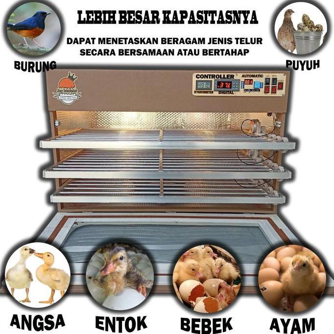 MESIN PENETAS TELUR FULL OTOMATIS KAPASITAS 300 BUTIR ORIGINAL DAN TERPERCAYA