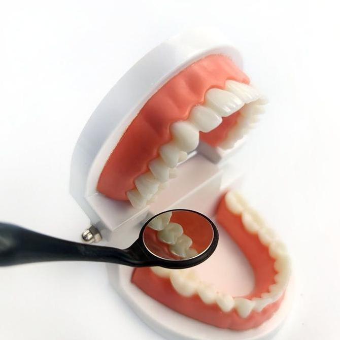 1 Box Dental Kaca Mulut Dental Mirror Anti Fog Single Side Kaca Mulut Profesional Untuk Pemeriksaan 