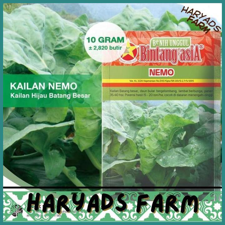 HF (1 PACK) BENIH KAILAN NEMO KAILAN HIJAU BATANG BESAR SEEDS - 10 GRAM - HARYADSFARM