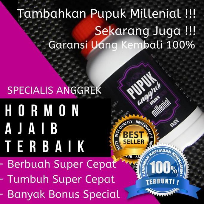 Terlaris Pupuk Anggrek Organik Super Pupuk Anggrek Organik Cepat Garansi 